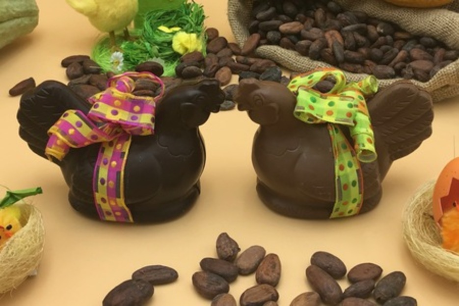 Petite poule Petite poule