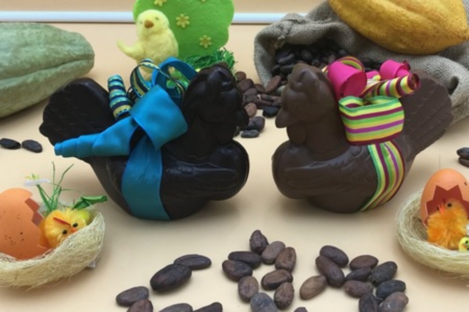 Poule moyenne Poule moyenne