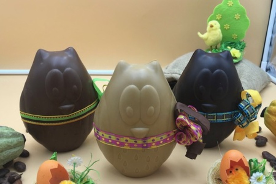 Hibou moyen Hibou moyen