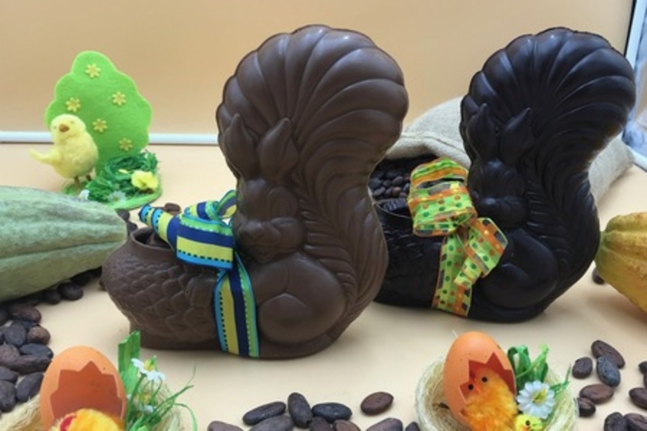 Ecureuil Pomme de pin - 350g Ecureuil Pomme de pin - 350g